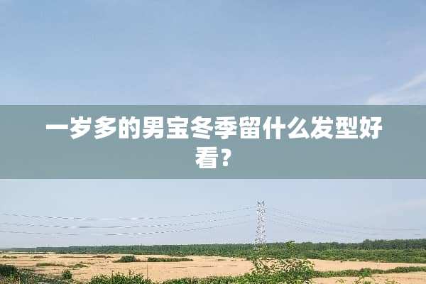 一岁多的男宝冬季留什么发型好看？