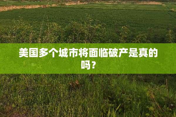 美国多个城市将面临破产是真的吗？