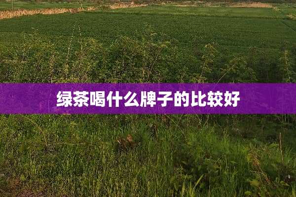 绿茶喝什么牌子的比较好