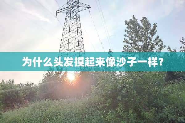 为什么头发摸起来像沙子一样？