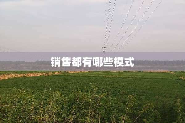 销售都有哪些模式