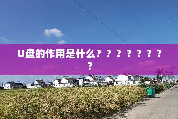 U盘的作用是什么？？？？？？？？