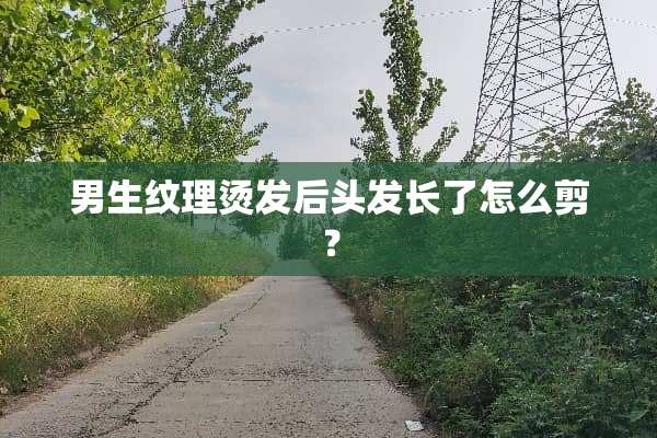 男生纹理烫发后头发长了怎么剪？