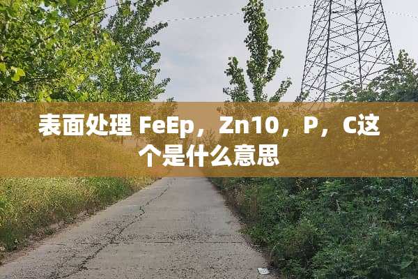 表面处理 FeEp，Zn10，P，C这个是什么意思