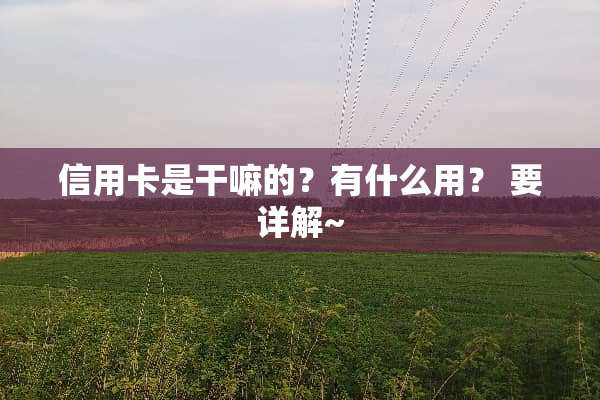 ***是干嘛的？有什么用？ 要详解~
