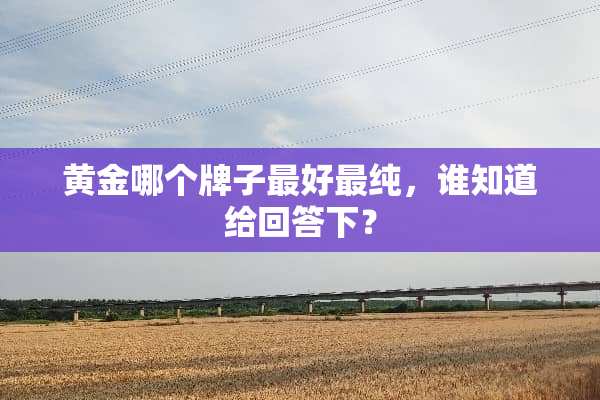 黄金哪个牌子最好最纯，谁知道给回答下？