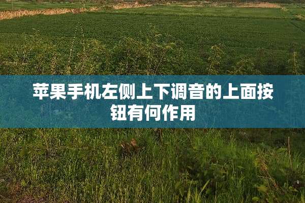 苹果手机左侧上下调音的上面按钮有何作用