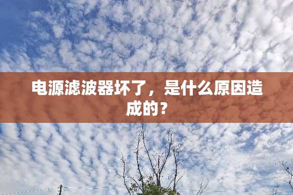 电源滤波器坏了，是什么原因造成的？
