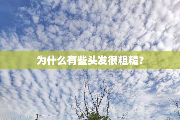 为什么有些头发很粗糙？