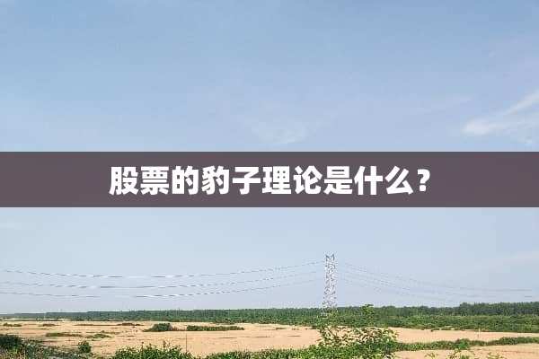 股票的豹子理论是什么？