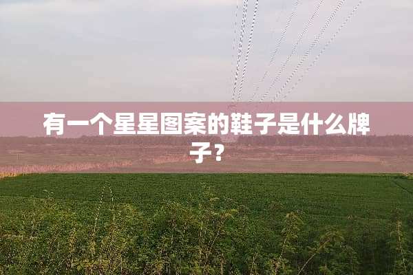 有一个星星图案的鞋子是什么牌子？