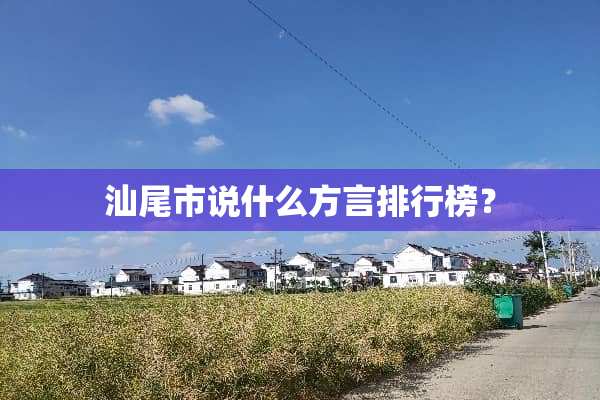 汕尾市说什么方言排行榜？