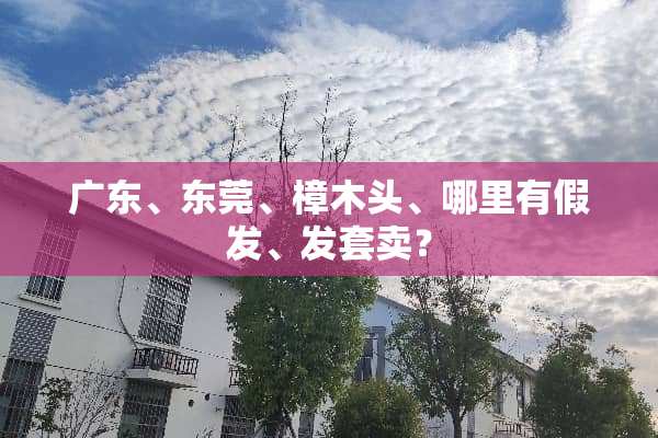 广东、东莞、樟木头、哪里有假发、发套卖？