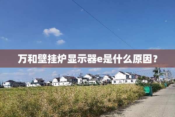万和壁挂炉显示器e是什么原因？