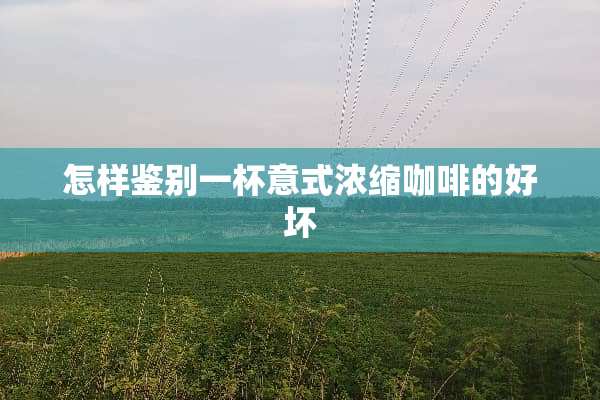 怎样鉴别一杯意式浓缩咖啡的好坏