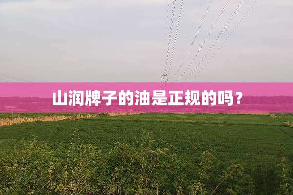 山润牌子的油是正规的吗？