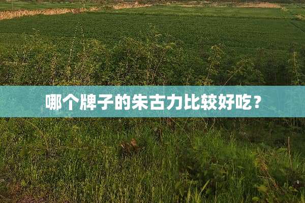 哪个牌子的朱古力比较好吃？