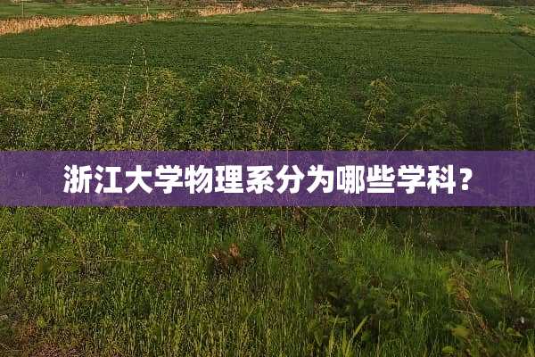 浙江大学物理系分为哪些学科？