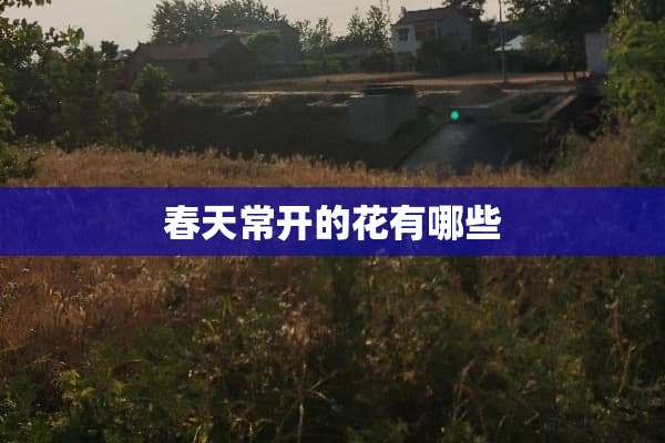 春天常开的花有哪些