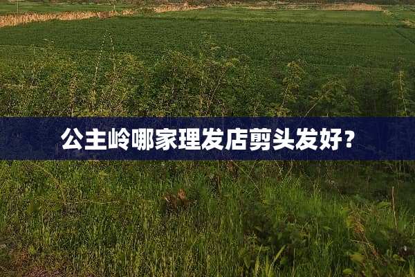 公主岭哪家理发店剪头发好？