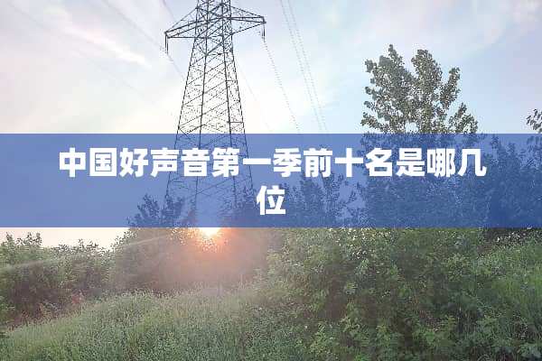 中国好声音第一季前十名是哪几位