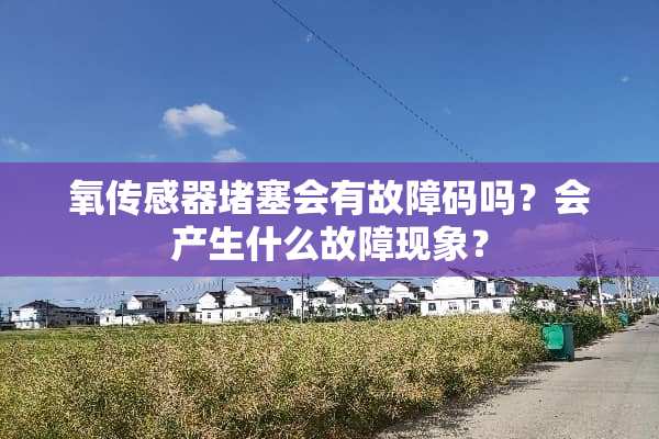 氧传感器堵塞会有故障码吗？会产生什么故障现象？