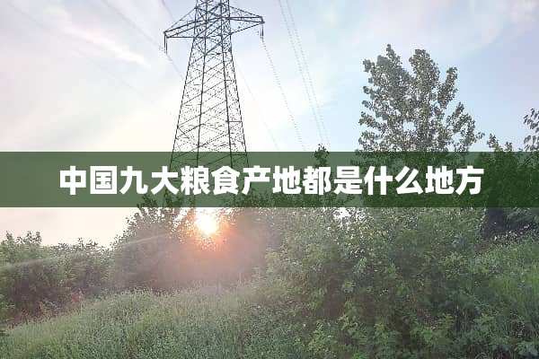 中国九大粮食产地都是什么地方