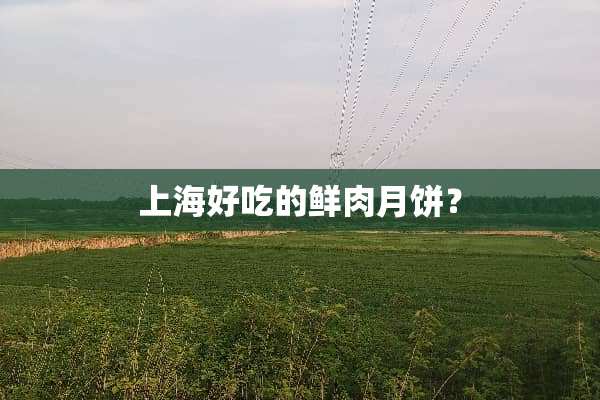 上海好吃的鲜肉月饼？