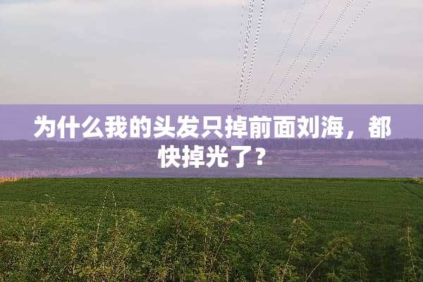 为什么我的头发只掉前面刘海，都快掉光了？