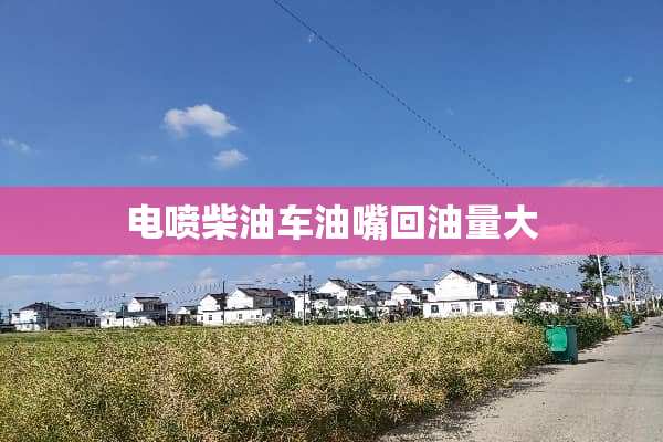 电喷柴油车油嘴回油量大
