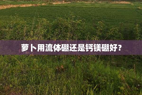 萝卜用流体硼还是钙镁硼好？