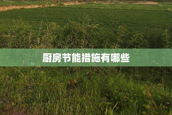 厨房节能措施有哪些