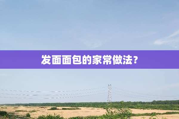 发面面包的家常做法？