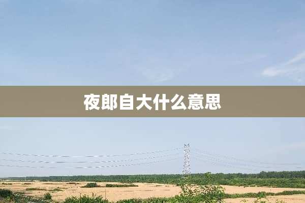 夜郎自大什么意思