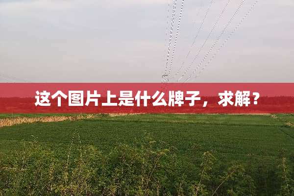 这个图片上是什么牌子，求解？