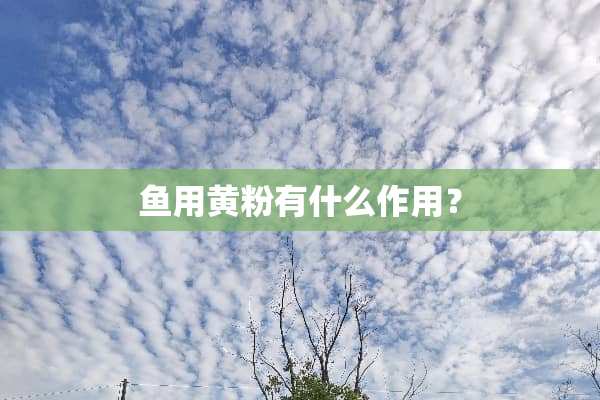 鱼用黄粉有什么作用？