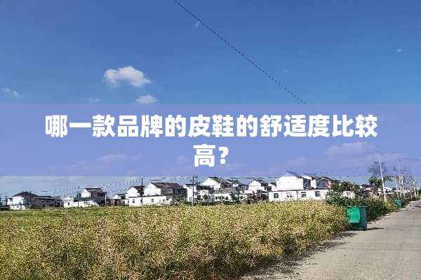 哪一款品牌的皮鞋的舒适度比较高？