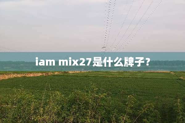 iam mix27是什么牌子？