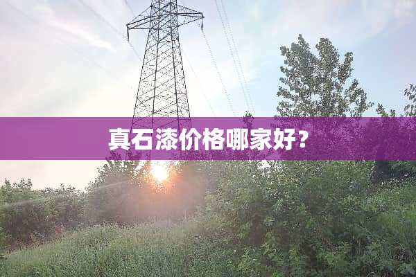 真石漆价格哪家好？