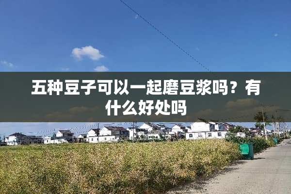 五种豆子可以一起磨豆浆吗？有什么好处吗
