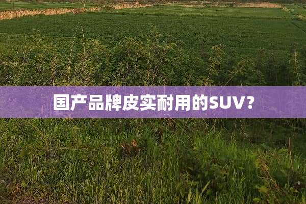 国产品牌皮实耐用的SUV？