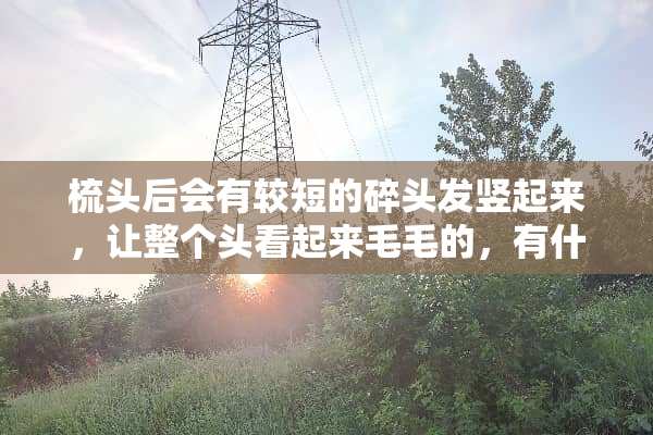 梳头后会有较短的碎头发竖起来，让整个头看起来毛毛的，有什么办法处理？