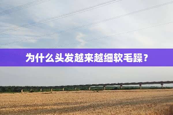 为什么头发越来越细软毛躁？
