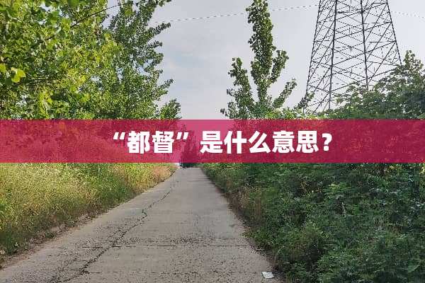 “都督”是什么意思？