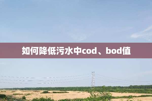 如何降低污水中cod、bod值