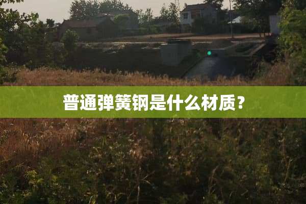 普通弹簧钢是什么材质？