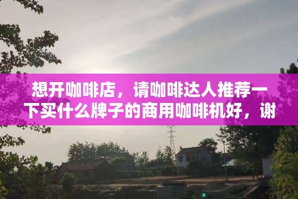 想开咖啡店，请咖啡达人推荐一下买什么牌子的商用咖啡机好，谢谢？