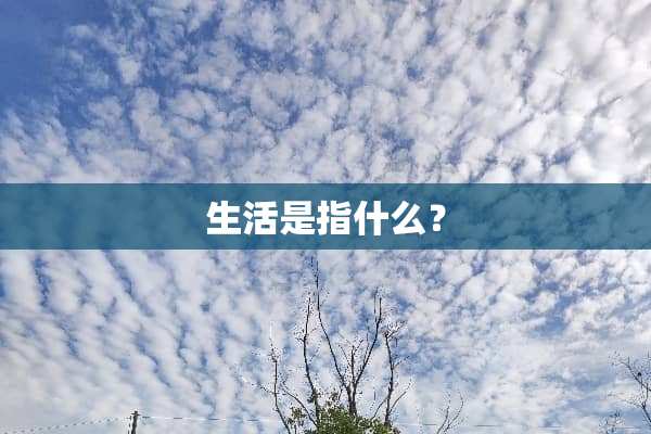 生活是指什么？