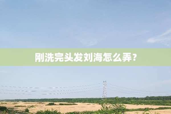 刚洗完头发刘海怎么弄？