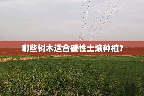 哪些树木适合碱性土壤种植？